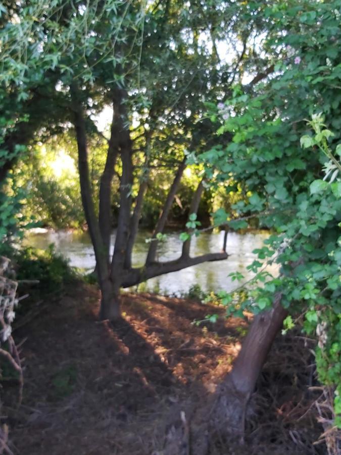 Durmiendo Entre Arboles, Bonita Cabana En La Rioja Anguciana ภายนอก รูปภาพ