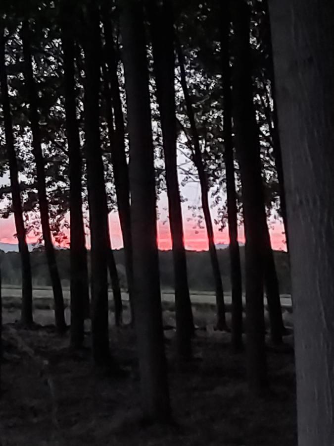 Durmiendo Entre Arboles, Bonita Cabana En La Rioja Anguciana ภายนอก รูปภาพ