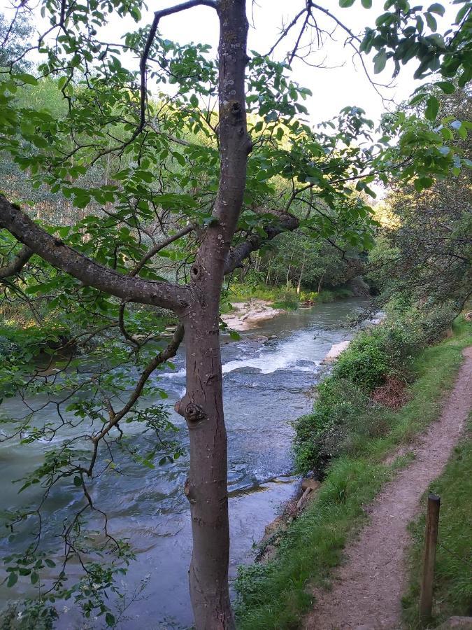 Durmiendo Entre Arboles, Bonita Cabana En La Rioja Anguciana ภายนอก รูปภาพ