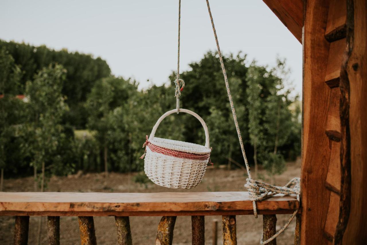 Durmiendo Entre Arboles, Bonita Cabana En La Rioja Anguciana ภายนอก รูปภาพ